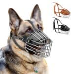 Cage muzzle